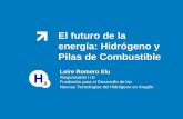 El futuro de la energía: Hidrógeno y Pilas de Combustible