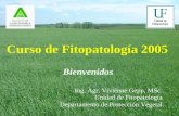 Curso de Fitopatología 2005