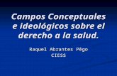 Campos Conceptuales e ideológicos sobre el derecho a la salud.