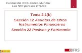 Tema 2.1(b) Sección 12  Asuntos de Otros  Instrumentos Financieros
