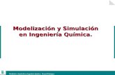 Modelización y Simulación en Ingeniería Química.