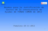 Normas para la Justificación de Gastos de la convocatoria de Ayudas de FONDO COMÚN de 2012