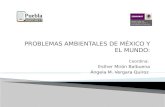 PROBLEMAS AMBIENTALES DE MÉXICO Y EL MUNDO: Coordina:   Esther Mirón Balbuena