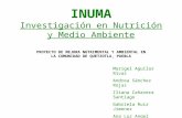 INUMA Investigación en Nutrición y Medio Ambiente