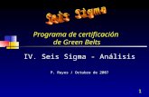 Programa de certificación  de Green Belts