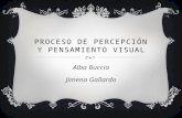 Proceso de percepción y Pensamiento visual