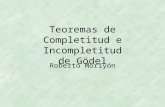Teoremas de Completitud e Incompletitud de Gödel