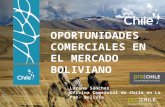 Lorena Sánchez Oficina Comercial de Chile  en  La Paz-  Bolivia