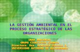 LA  GESTIÓN  AMBIENTAL EN EL PROCESO  ESTRATÉGICO  DE LAS ORGANIZACIONES