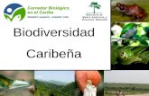 Biodiversidad Caribeña