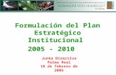 Formulación del Plan Estratégico Institucional  2005 - 2010