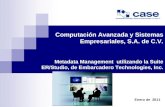 Computación Avanzada y Sistemas Empresariales, S.A. de C.V.