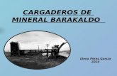 CARGADEROS DE  MINERAL BARAKALDO