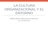 La cultura organizacional y el entorno