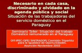 Seminario Taller: Situación del trabajo Doméstico remunerado en el Paraguay