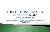 COLINESTERASA  BASAL EN ZONA HORTICOLA