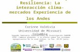 Estrategias de Vida y Resiliencia: La interacción clima-mercados Experiencia de los Andes