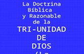 La Doctrina Bíblica  y Razonable de la TRI-UNIDAD DE DIOS (La Trinidad)