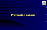 Prevención Laboral