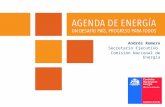 Andrés Romero Secretario Ejecutivo  Comisión Nacional de Energía