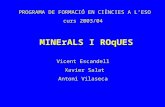 PROGRAMA DE FORMACIÓ EN CIÈNCIES A L’ESO  curs 2003/04  MINErALS I ROqUES Vicent Escandell