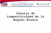 Consejo de Competitividad de la Región  Brunca