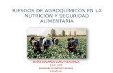 RIESGOS DE  AGROQUÍMICOS EN LA NUTRICIÓN Y SEGURIDAD ALIMENTARIA