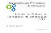 Sistema de Captura de Proveedores de Información (SCPI)