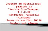 Colegio de Bachilleres  plantel  13 “ Xochimilco- Tepepan ” T.I.C.II Profesora : Gabriela Pichardo