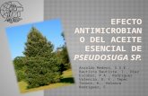 Efecto antimicrobiano del aceite esencial de  Pseudosuga sp .