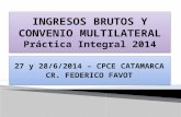 INGRESOS BRUTOS Y CONVENIO MULTILATERAL P ráctica  I ntegral 2014