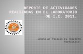 REPORTE DE ACTIVIDADES REALIZADAS EN EL LABORATORIO DE I.C. 2011.