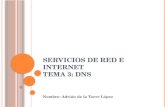 Servicios de red e Internet Tema 3: DNS