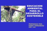 EDUCACION  AMBIENTAL PARA EL DESARROLLO SOSTENIBLE