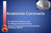 Anatomía Coronaria