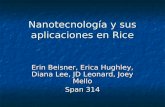 Nanotecnología y sus aplicaciones en Rice