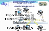 Especialización en Telecomunicaciones Digitales Cohorte Nº  5