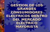 GESTION DE LOS GRANDES CONSUMIDORES ELECTRICOS DENTRO DEL MERCADO ELECTRICO MAYORISTA