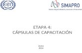 ETAPA 4: CÁPSULAS DE CAPACITACIÓN
