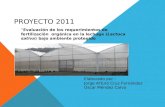 Proyecto 2011