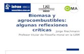 Biomasa y agrocombustibles: algunas reflexiones críticas