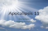 Apocalipsis  11