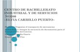 Centro de Bachillerato Industrial y de Servicios  No200 «Elvia Carrillo Puerto»