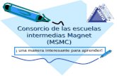 Consorcio de las escuelas intermedias  Magnet ( MSMC )