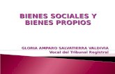 BIENES SOCIALES Y BIENES PROPIOS GLORIA AMPARO SALVATIERRA VALDIVIA Vocal del Tribunal Registral