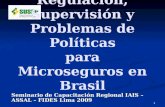 Regulación, Supervisión y Problemas de Políticas para Microseguros en Brasil