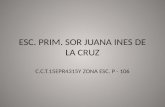 ESC. PRIM.  SOR JUANA INES DE LA CRUZ C.C.T.15EPR4315Y  ZONA ESC.  P - 106