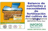 Balance de nutrientes y necesidades de fertilización del cultivo de trigo