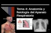 Tema 4: Anatomía y fisiología del Aparato Respiratorio