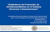 “Estándares de Protección de  Afrodescendientes en el Sistema Universal e Interamericano”
